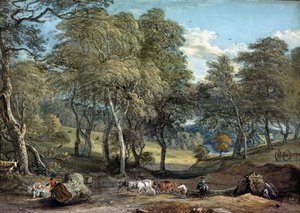ऑन्डेन ड्राइंग टिम्बर के साथ विंडसर फॉरेस्ट, 1798
